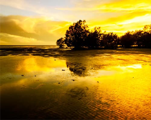 Образ - 4 Nights in Darwin, Australia