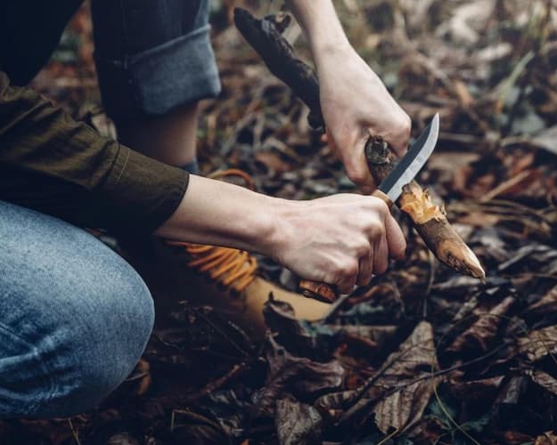 Immagine - Bushcraft experience