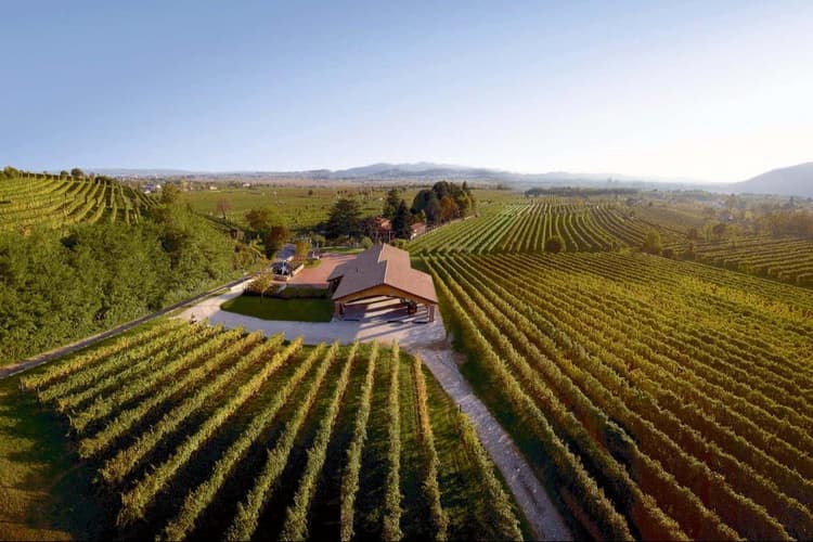 Immagine - Visita alla cantina con degustazione a Valdobbiadene