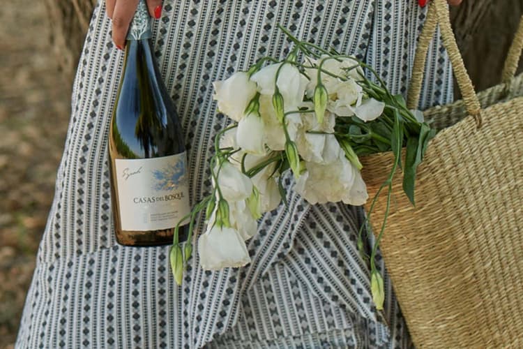 Imagen - Visita a la viña Casas del Bosque