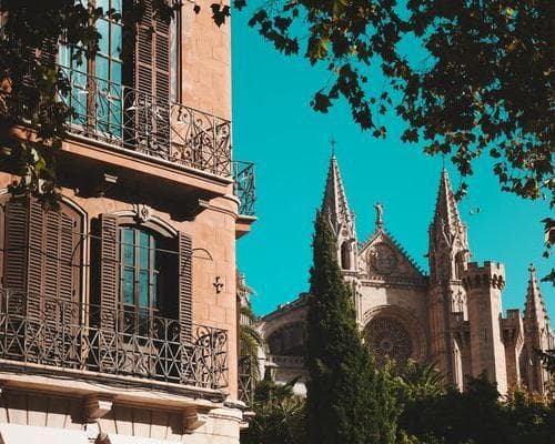 Bild - One week in Mallorca