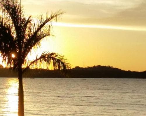 Image - Uganda, los grandes primates