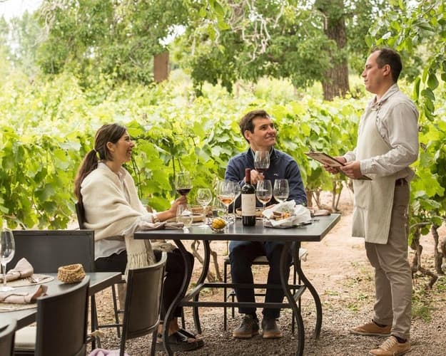 Imagen - Mendoza y vinos con vuelo incluido