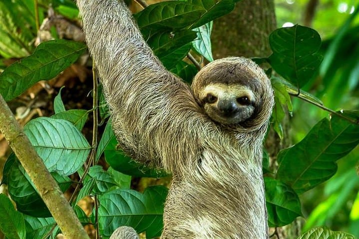 Image -  Discover Costa Rica - March 2026