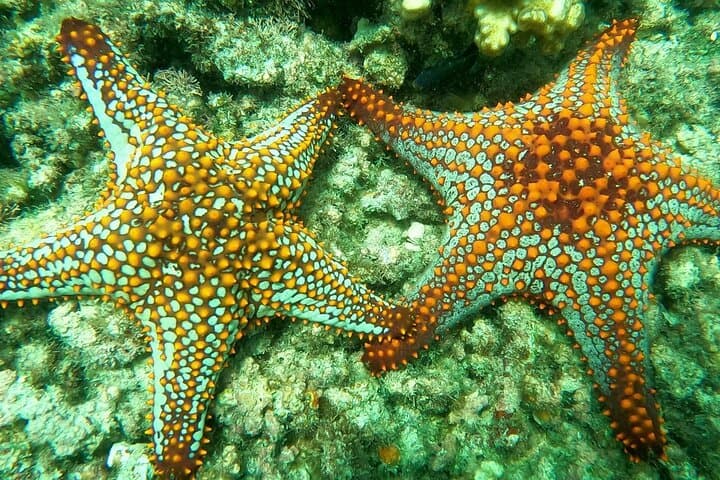 Imagen - PAQUETE “LA PAZ CLÁSICO” | 4 DÍAS 3 NOCHES + 2 TOURS