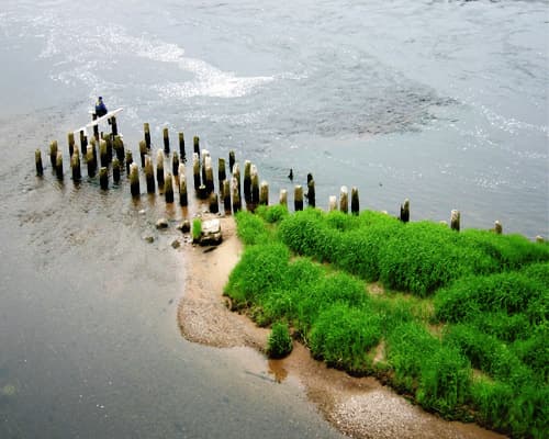 Изображение - 4 Nights in Kaunas, Lithuania