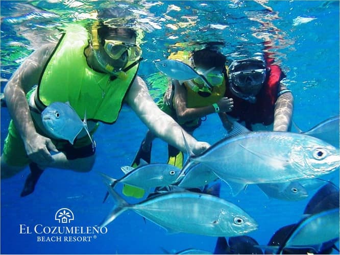 Imagen - Semana Santa en Cozumel All Inclusive