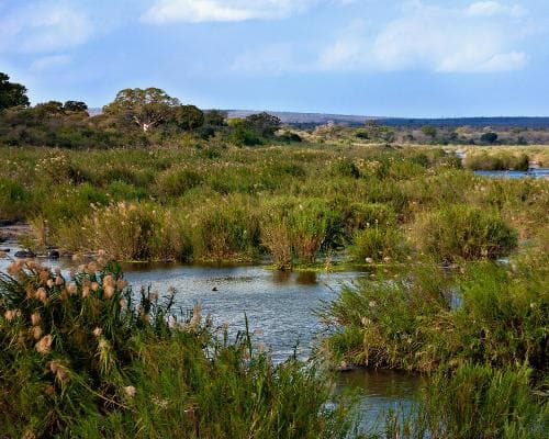 Immagine - Sudafrica: in un treno su un ponte