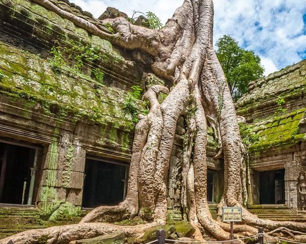 Bild - Kambodscha im Detail – Angkor, Hauptstadt und Strände