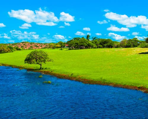 Image - Natal, Brazil