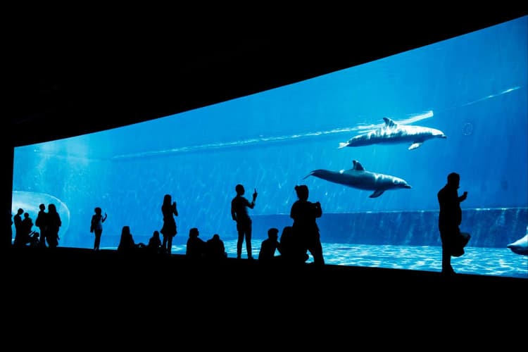 Image - Visita l'Acquario di Genova & degusta panera (per due)