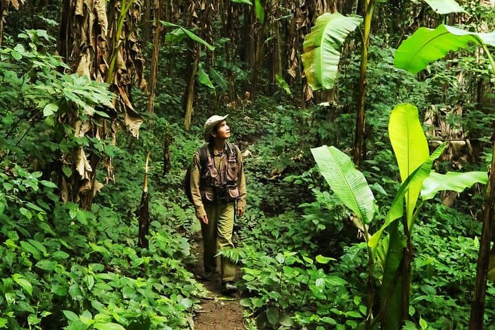 Imagine - Jungle Experience in Phuket, Thailanda - ianuarie 