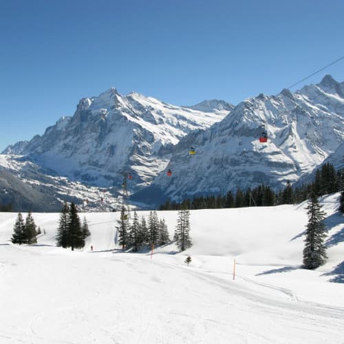 Imazhi - Pushime dimërore në Grindelwald,Zvicer.