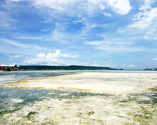 Beeld - 4 Nights in Davao, Philippines