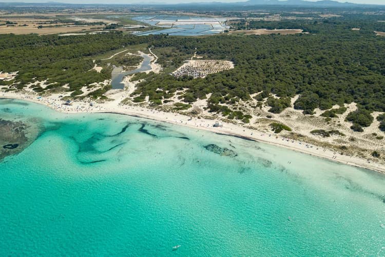 Immagine - Maiorca: calette e relax