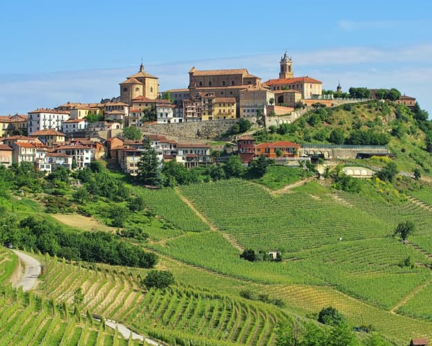 Immagine - Enogastronomia Langhe e Roero