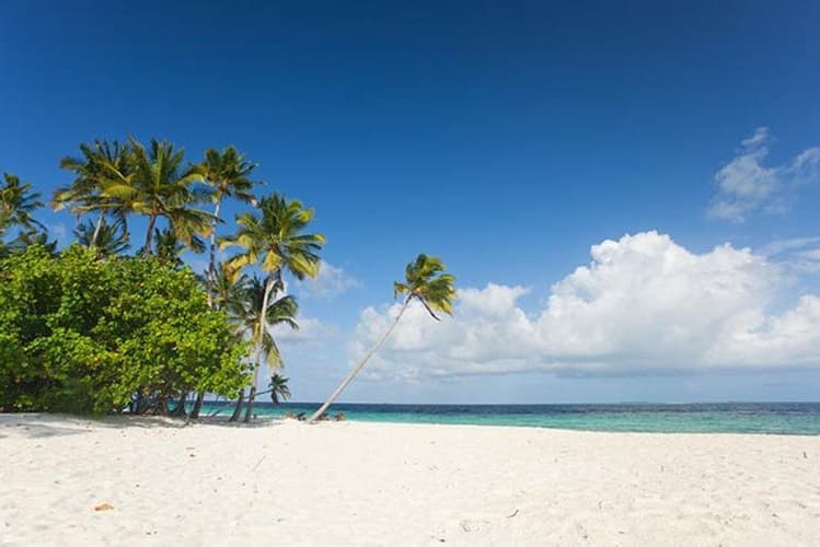 Imagine - Descopera cu familia : Sejur charter Maldive - 13 martie 