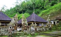 Imagen -  Ubud y Nusa Dua