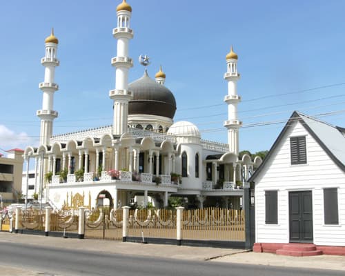 تصویر -  10 Day Highlights of Suriname