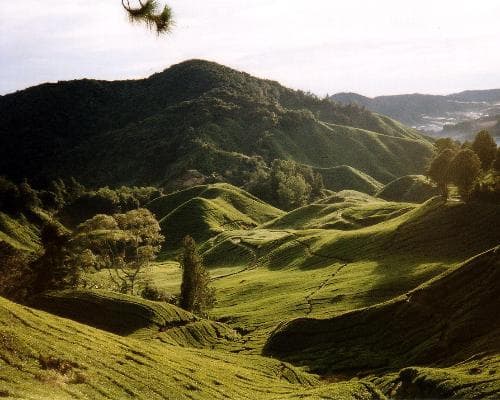 Bilde - Penang, Cameron Highlands, Kuala Lumpur & Geheimtipp Dungun