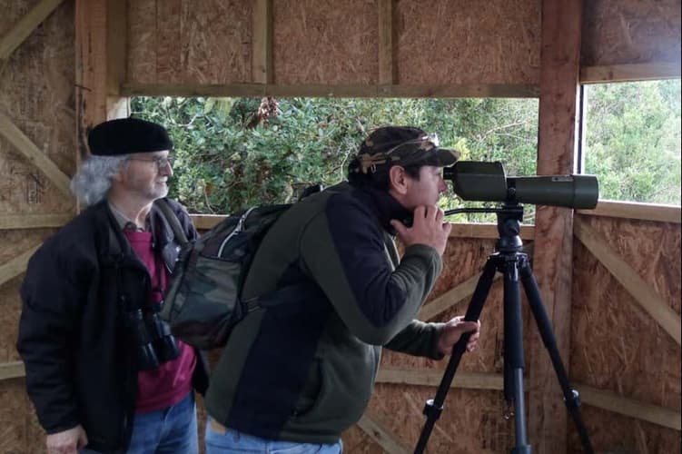 Imagen - Avistamiento de aves en la Carretera Austral
