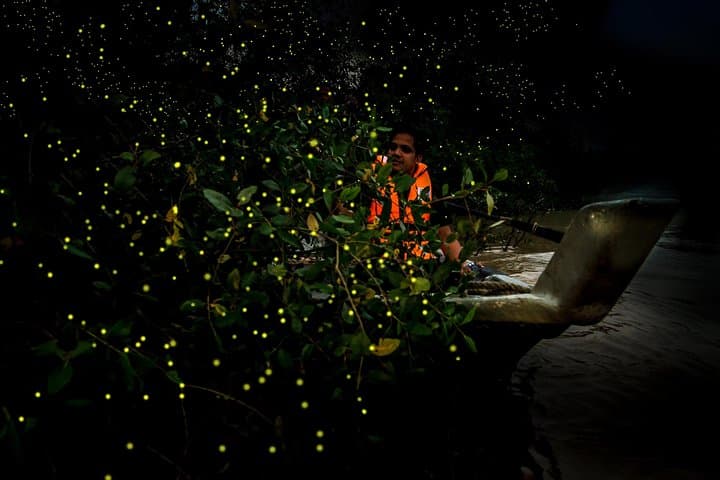 Imazhi - Turi Xixellonjave dhe Darke ne Kuala Selangor