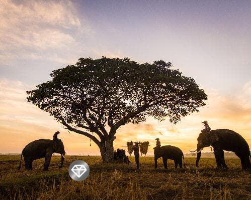 Image -  Sudáfrica Exclusivo