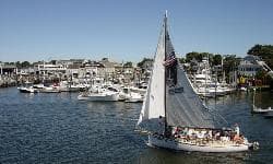 Image -  Francesco & Vera