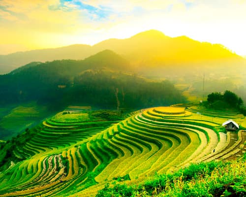 Imagine -  Saigon & Phu Quoc, Vietnam, March 2026 