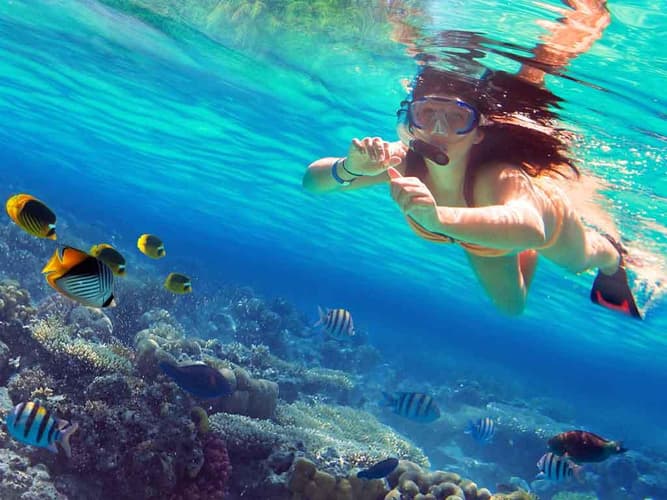 Image - PAQUETE “DE RELAX EN IXTAPA” | 3 DÍAS 2 NOCHES + 1 TOUR