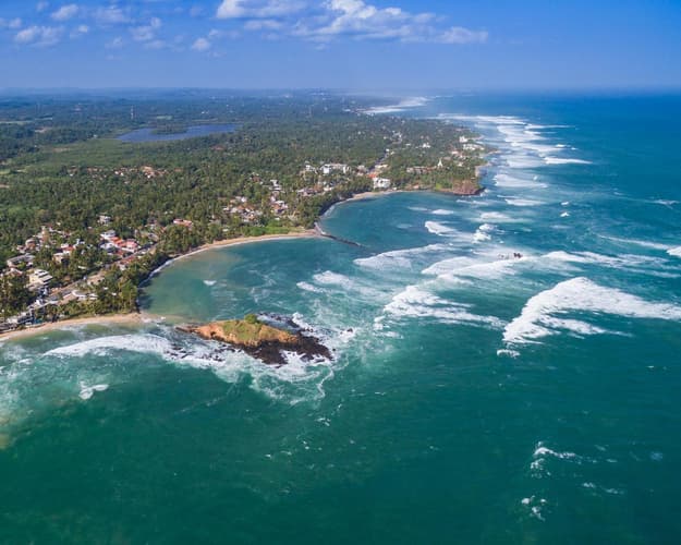 Bild - Sri Lanka | Olderskog x 9