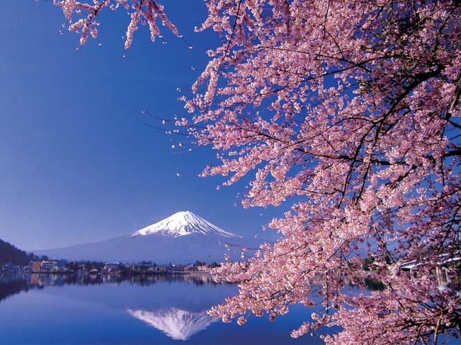 Image -  3N Tokyo + 3N Osaka / Mr Dhiren