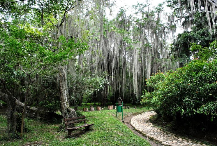 Immagine - Santander  Vibrante