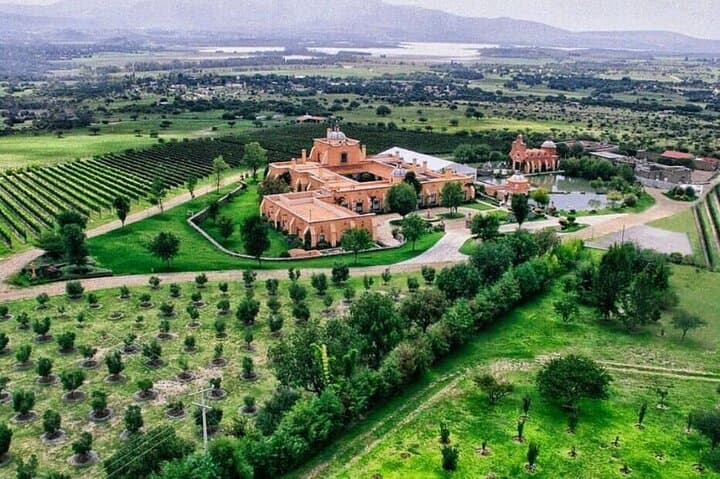 Imagen - FIN MÁGICO A SAN MIGUEL DE ALLENDE + TOUR 