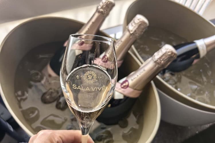 Imagen - Vinos y Pueblos Mágicos desde Tequisquiapan