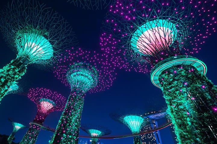 صورة -  Everything included valentines day trip in Asia