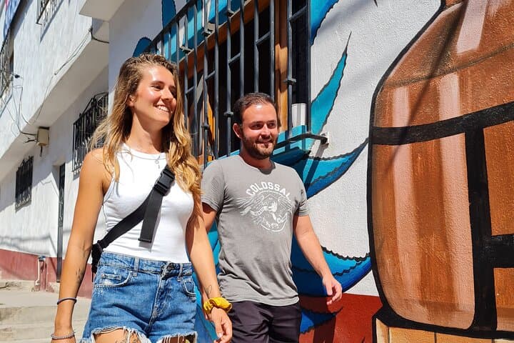 Imagen - Avión + Hotel + Tour + Traslado, P.Vallarta 5 al 7-Dic, 25