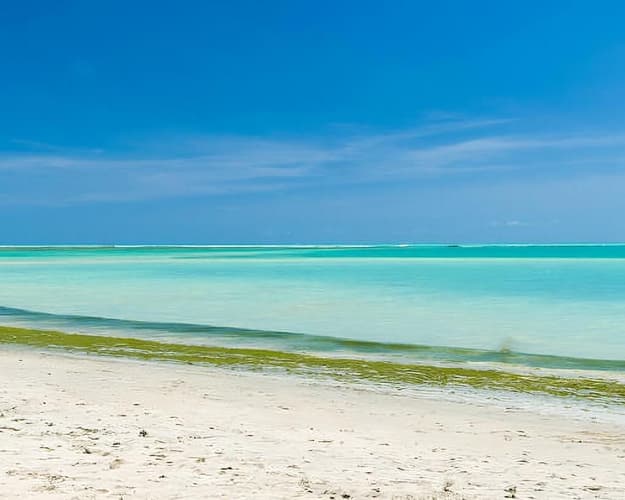 Imagen - Maceió Año Nuevo (base triple)