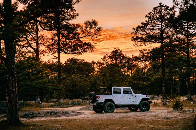 Image - PREVENTA FIN DE AÑO EN LA NIEVE - CREEL 