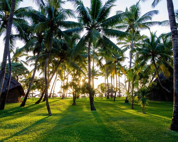 Beeld - Eilandhoppen in stijl: Mauritius & Rodrigues