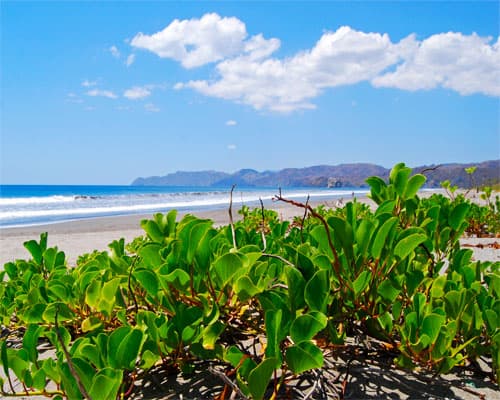 Imagen - Disfruta de la Pura Vida en Costa Rica