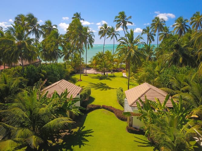 Imagem - Samba Pati - Porto de Pedras