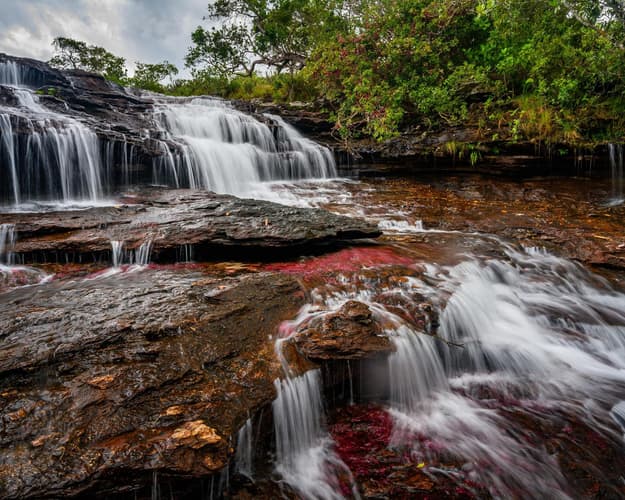 Image - Caño Cristales , el Rio más lindo del Mundo
