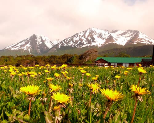 Imagen - HOSPEDAJE EN USHUAIA - HAB. TRIPLE