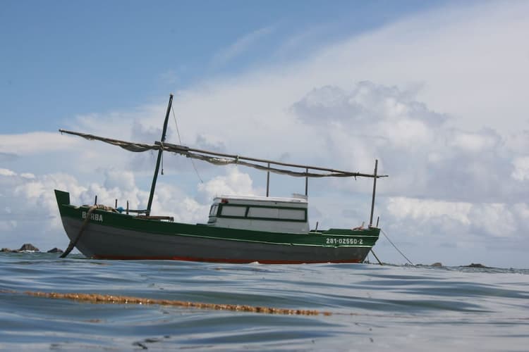 Imagem - 2️⃣ Temporada Baja en Salvador & Morro - Casa Di Vina Boutique Hotel y Village Paraíso Tropical