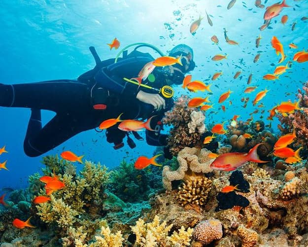 Obraz - Unforgettable Scuba Diving in Madeira’s Crystal Waters