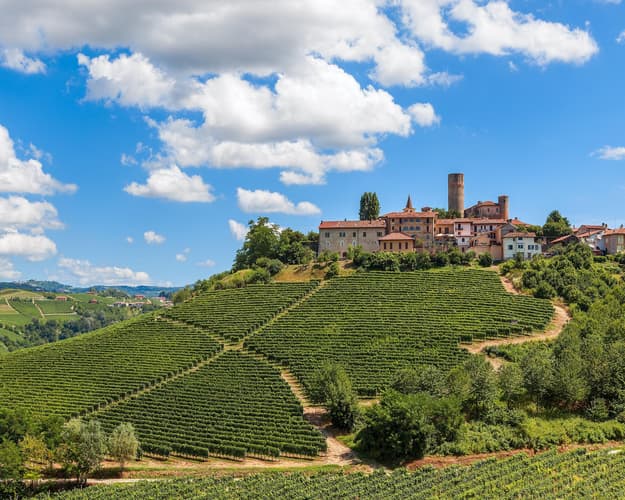 Bild - Weekend in the langhe with winery visit