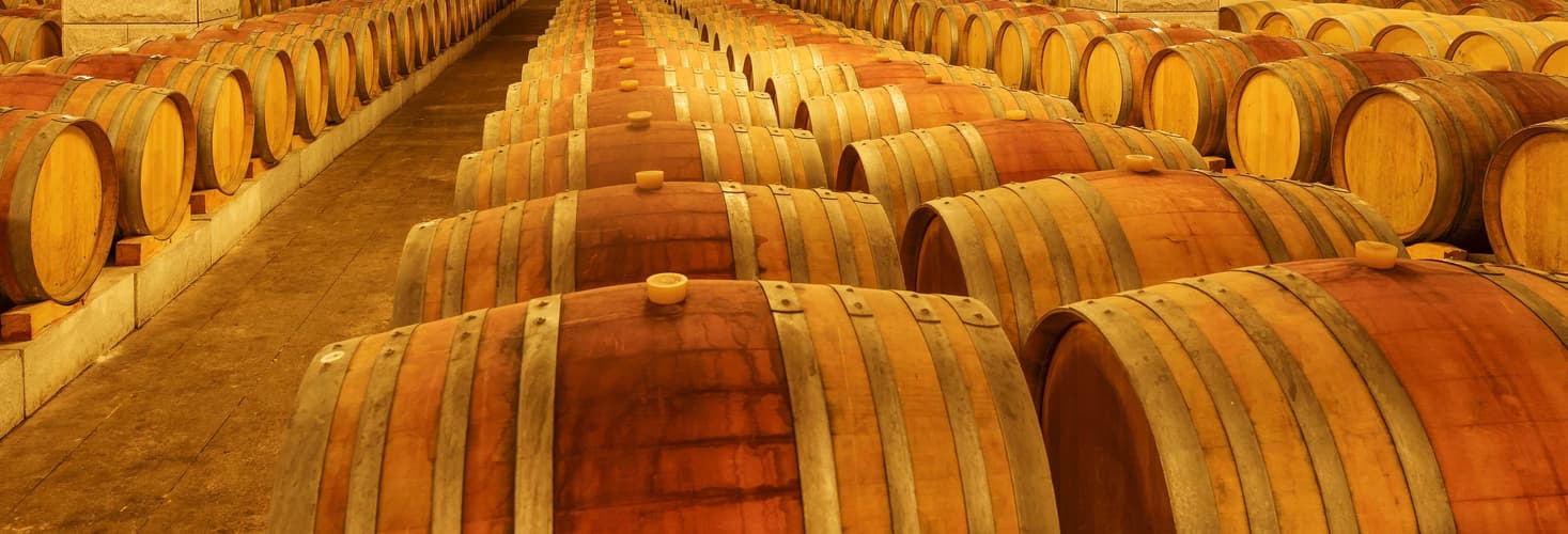 Imagen - Excursión a la Viña Undurraga