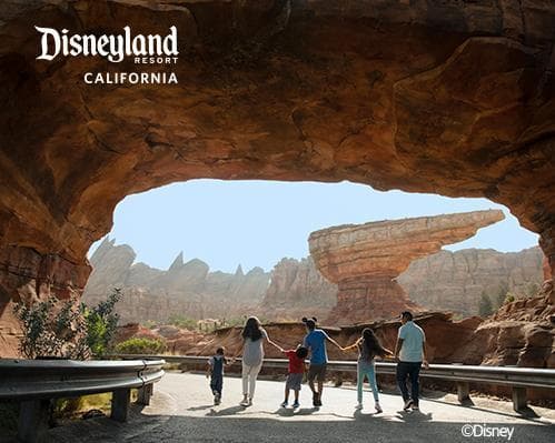 Imagen - Viaje con amigos Disneyland Resort 4 Días 