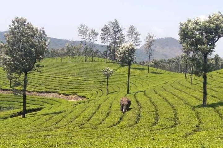 Image - Best of  Kerala